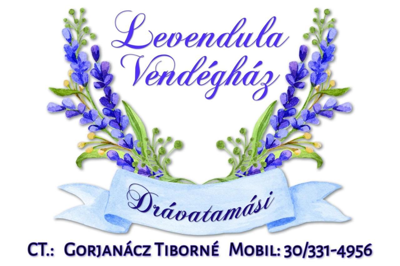 Veronika Guesthouse Dravatamasi المظهر الخارجي الصورة